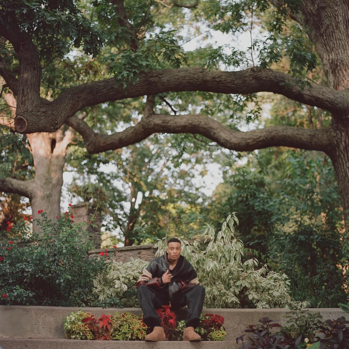 cozy garden, image 1 of 7