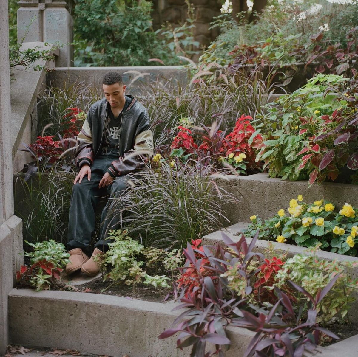 cozy garden, image 3 of 7