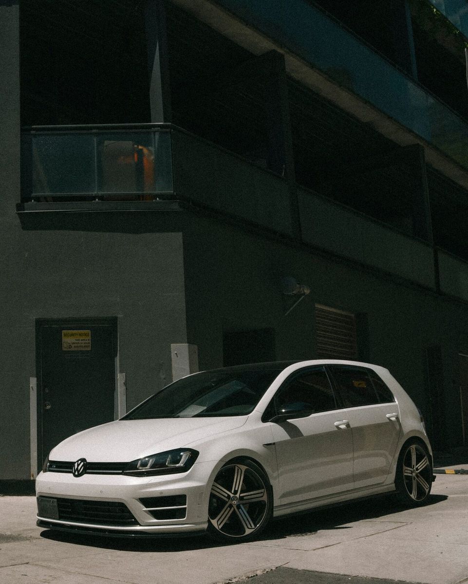 golf r & a rottweiler, image 3 of 6