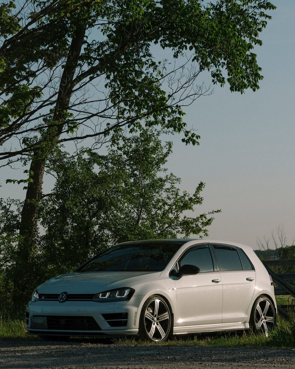 golf r & a rottweiler, image 6 of 6