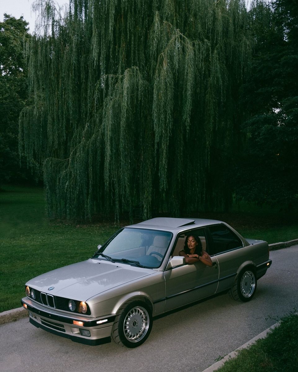 under the willows