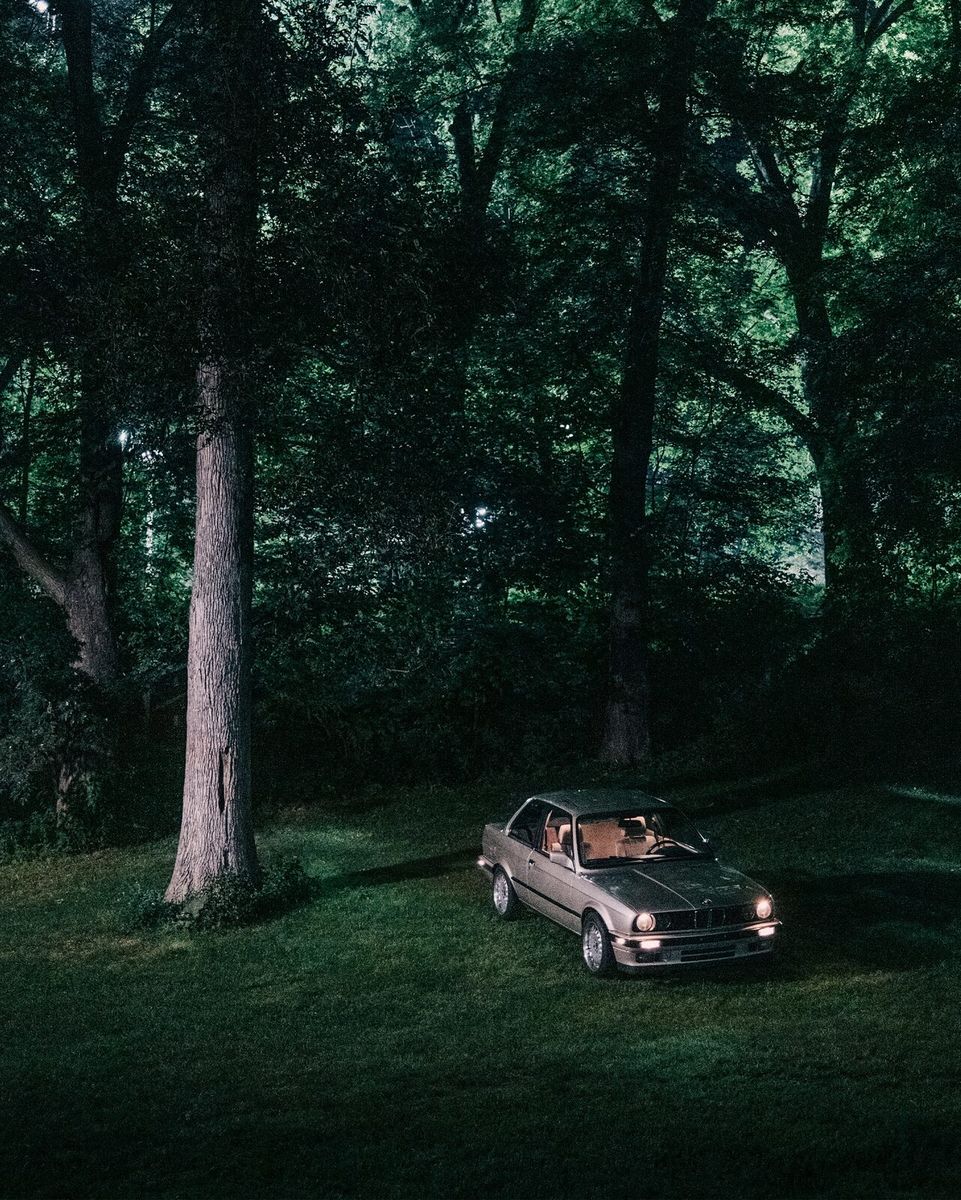 under the willows, image 7 of 8