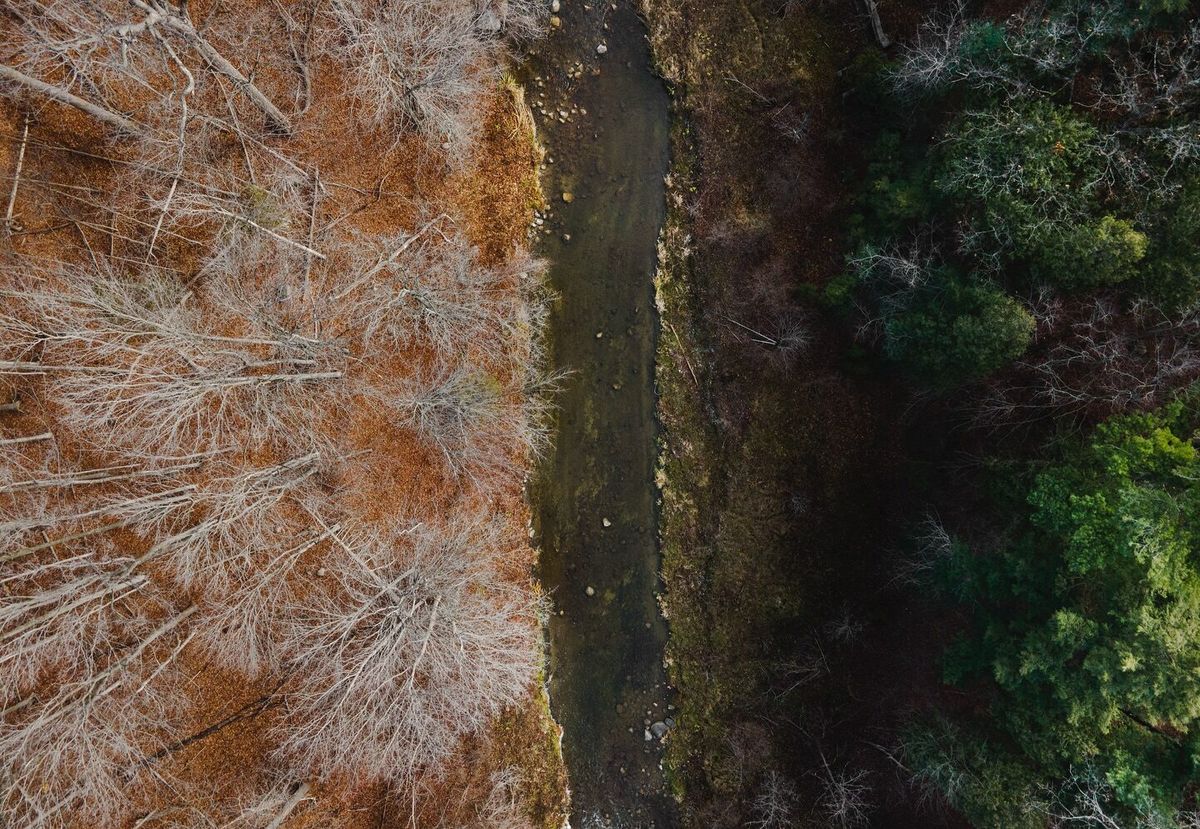 urbanization from above, image 9 of 11