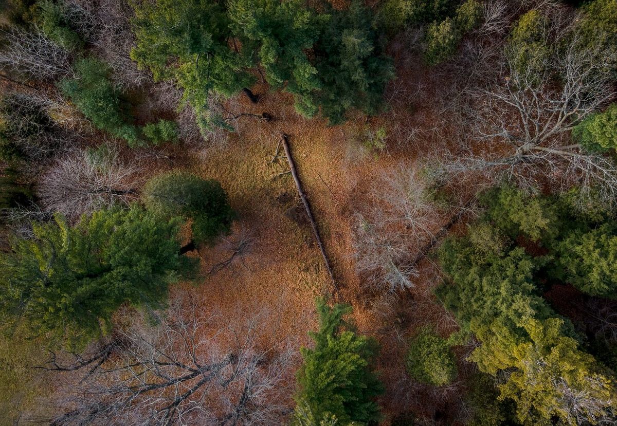 urbanization from above, image 11 of 11